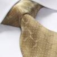 Cadouri : cravata matase naturala model M31
